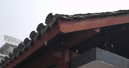 景德镇三宝路 游游家咖啡民宿